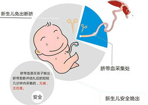 孕妇胎盘低置是什么原因造成的