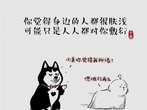 520适合单身发的朋友圈