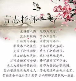 城南旧事优美句子摘抄大全