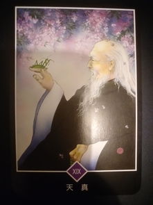 《所见》描写的是什么季节的景色？