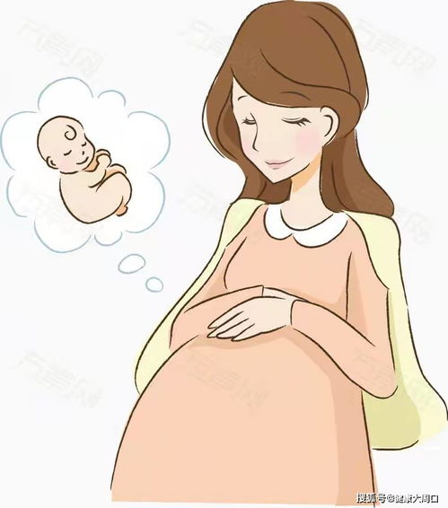 28周的胎儿大小、胎位正常情况下是怎样呢？