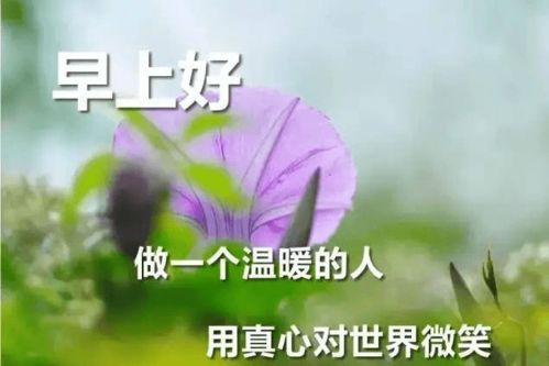 对爱人早安暖心话短句