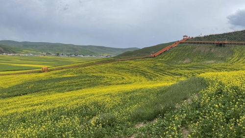 成都出发，青海湖和甘肃旅游攻略