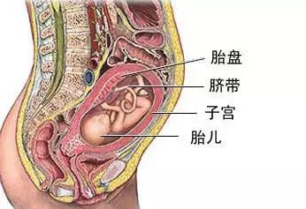 胎盘前壁可以剖腹产吗?