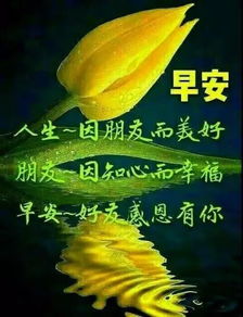 祝福朋友早安简短句子[摘抄85句话