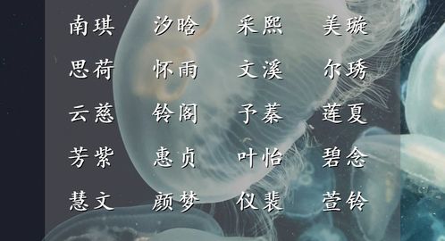 收拾心情重新出发的诗句