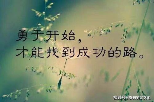 有关青春的句子励志[合计108句