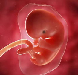怀孕3个月发烧39度对胎儿有影响吗