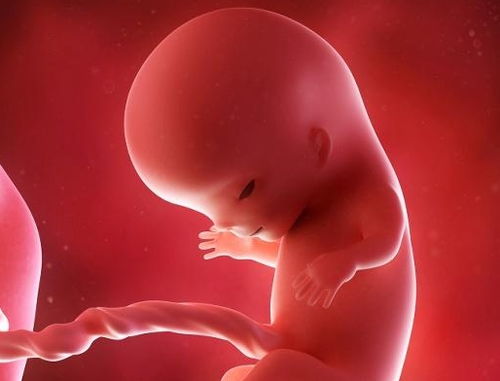 怀孕3个月发烧39度对胎儿有影响吗