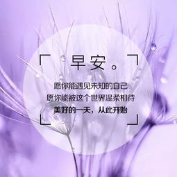 陈果 经典语录