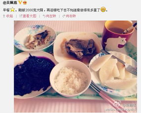 孕前男性不可忽视的营养