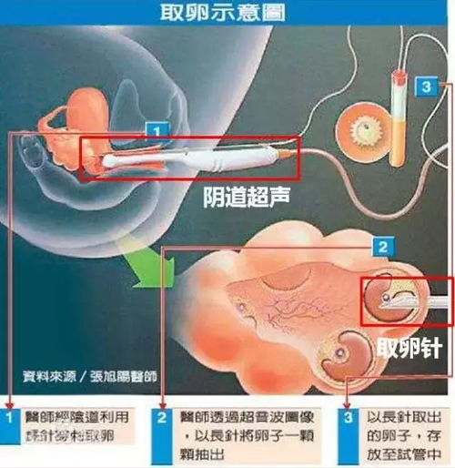 打破卵针一天中最佳的时间