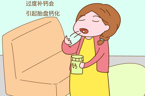 孕期补钙吃什么食物