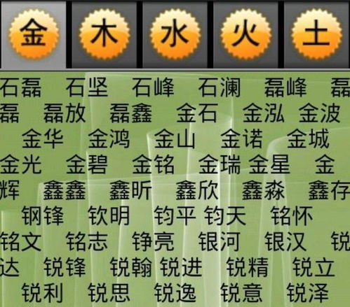 姓樊，因五行缺金，想取个带金字的名字