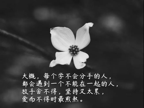 几个字的短句说说