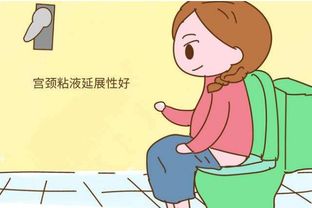 备孕期间尿路感染怎么办 女性