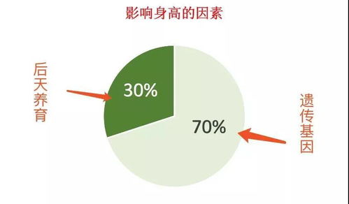 宝宝模样大猜想会遗传哪些基因