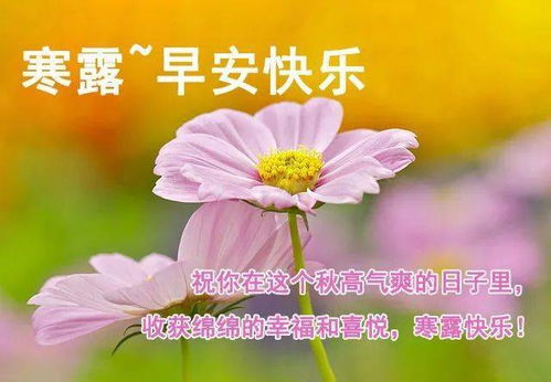 早上好健康祝福短句