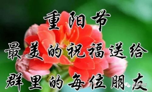 2020祝福语简短唯美