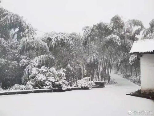 春雪的唯美说说