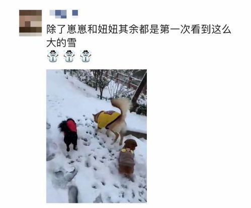 大雪适合发朋友圈的句子