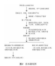 胎心监护的fmp是什么意思