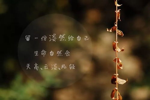 早安八个字经典简短句子