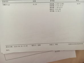 怀孕4周能看见卵黄囊吗