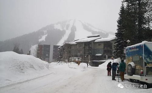 想3月初去峨眉山玩，请问下那里在下雪吗？能不能堆起来？谢谢大神