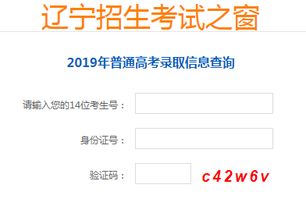 辽宁成人高考录取查询网官网