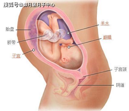 女人怀孕21周是几个月