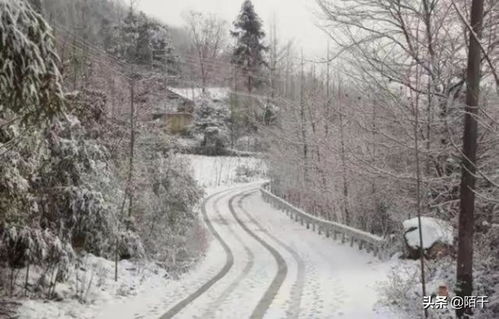 正月下雪打雷老古人有什么说法？