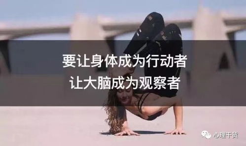 感谢经历的句子短句