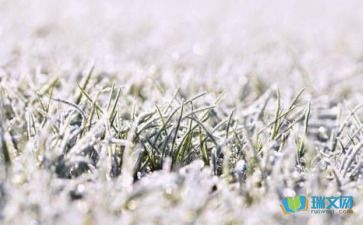 为什么说"瑞雪兆丰年"?