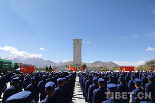 清明前后祭扫烈士墓的感受
