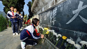 清明前后祭扫烈士墓的感受