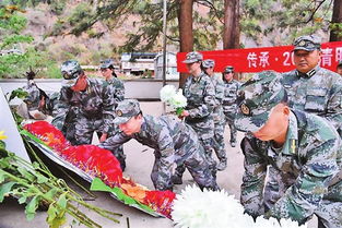 清明前后祭扫烈士墓的感受