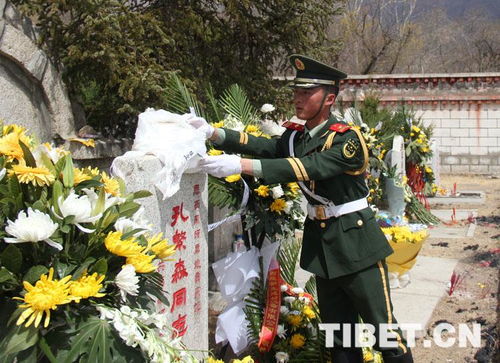 清明前后祭扫烈士墓的感受