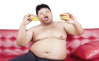 肥胖对身体的危害有哪些15种