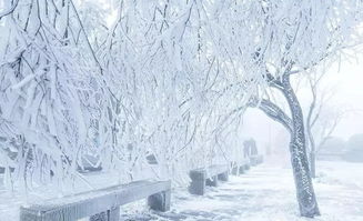 下雪的有意境的短句子伤感