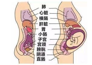 怀孕之后五官会变吗