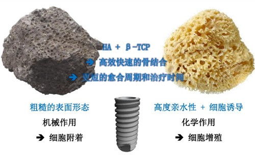 像牡丹这种盆栽植物如何包装寄出?