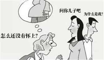 怎样提高男性的受孕几率？