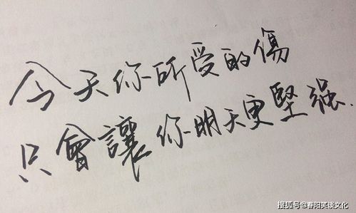 爱情感悟句子精辟[合集120段文字