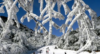 滑雪有趣的文案