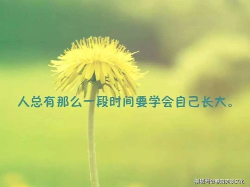 芒种的人生感悟