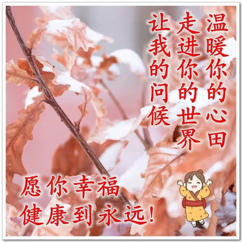 最漂亮的早上好祝福