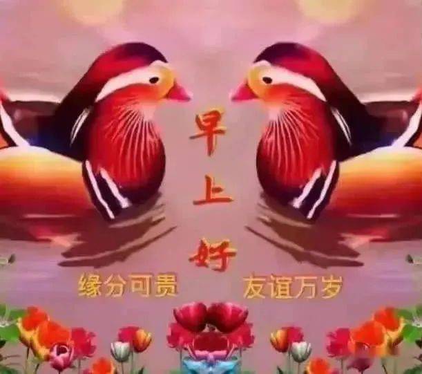 最漂亮的早上好祝福