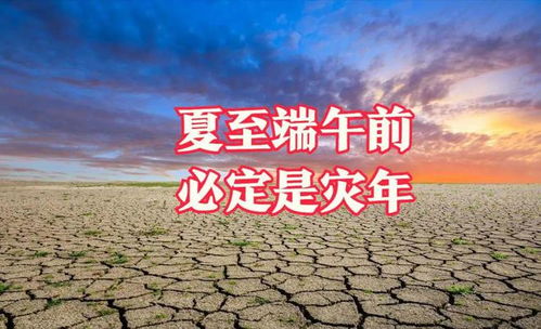 2020年不平凡的一年感慨 感恩