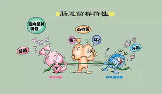 怀孕做优生检查需要什么材料